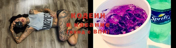 сатива Ельня