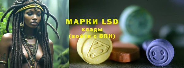 индика Алексеевка