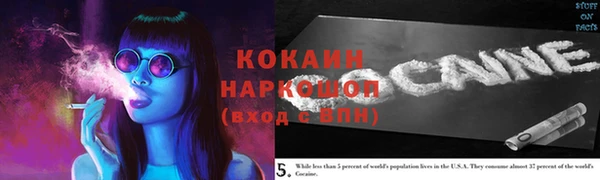 амф Алексин