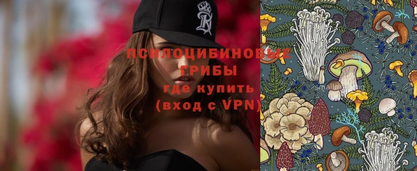 хмурый Алзамай