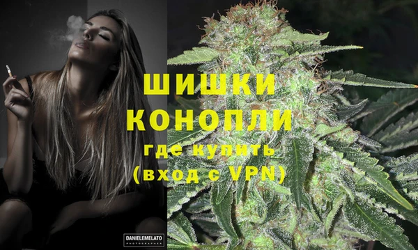 дурь Елизово