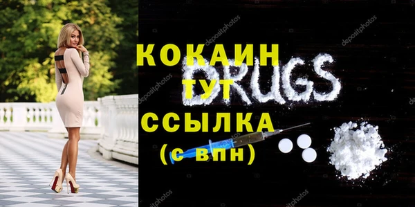 индика Алексеевка