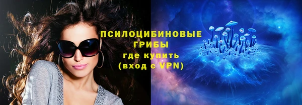 амф Алексин