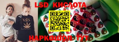 ПСИЛОЦИБИНОВЫЕ ГРИБЫ Заволжье