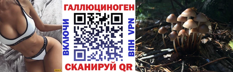 нарко площадка официальный сайт магазин продажи Новоалександровск Псилоцибиновые грибы ЛСД