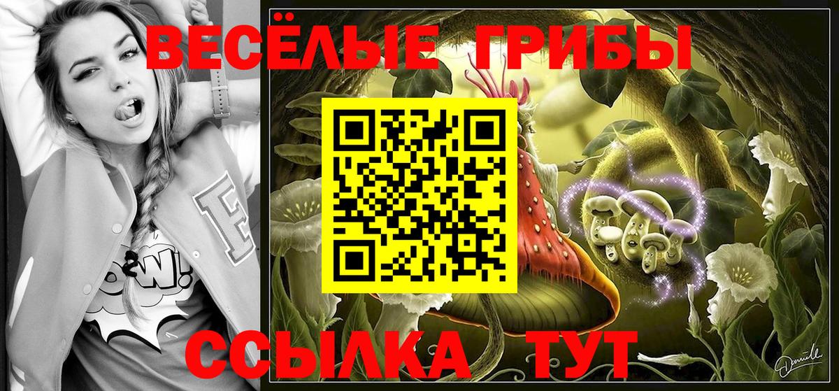 Псилоцибиновые грибы Magic Shrooms Новоалександровск